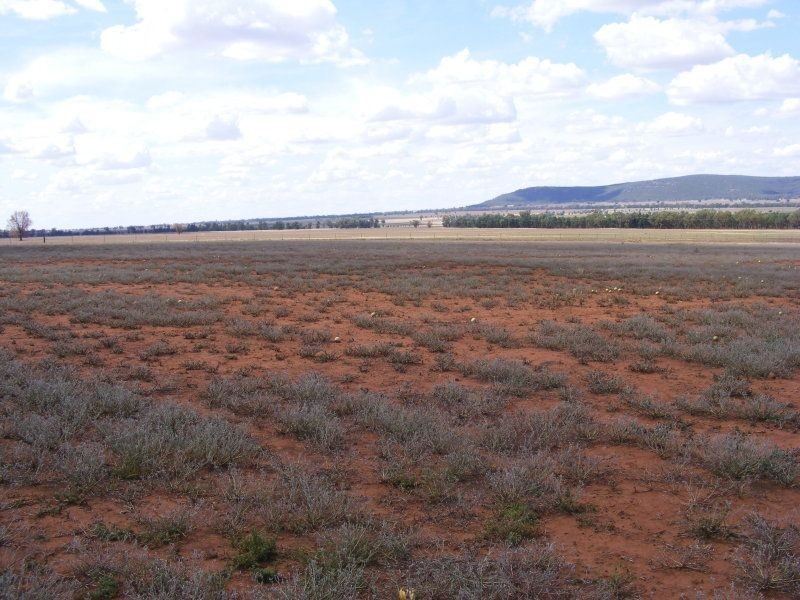 . Roselea, Narrandera NSW 2700
