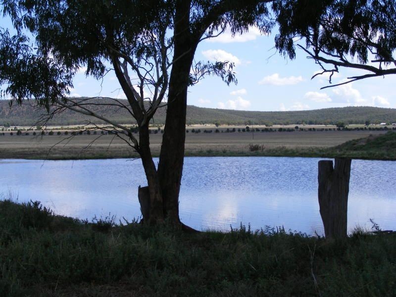 . Roselea, Narrandera NSW 2700