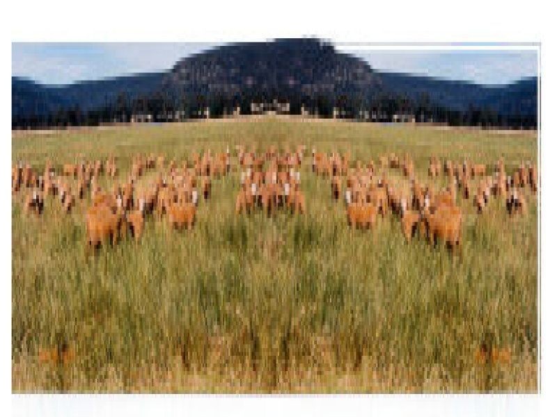 .. Mountain Bay, Narrandera NSW 2700