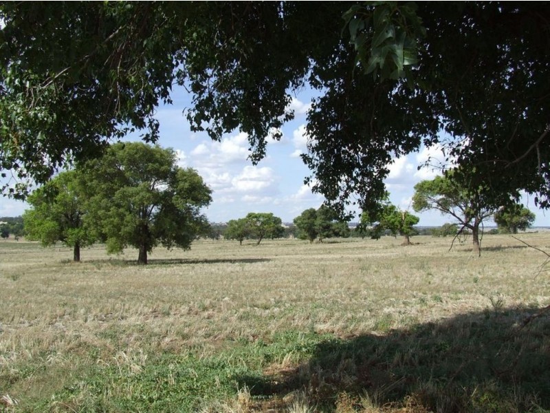 Kia Ora Corobimilla, Narrandera NSW 2700