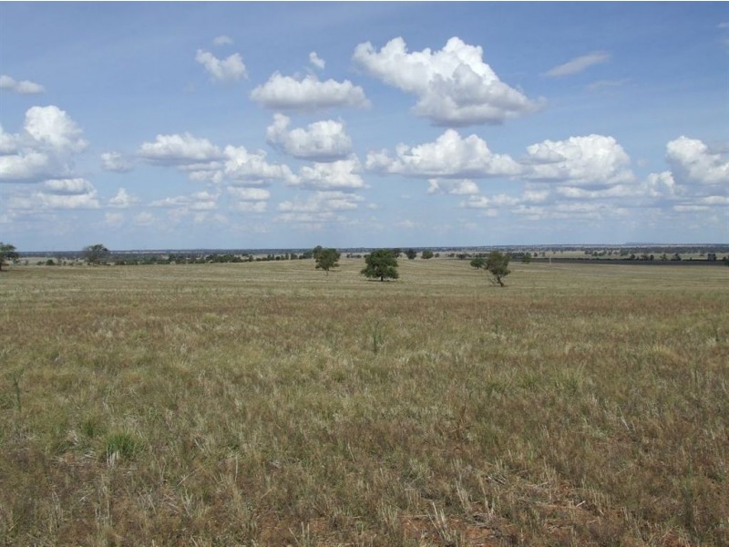Kia Ora Corobimilla, Narrandera NSW 2700