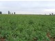 0 “Oakleigh”, Grong Grong NSW 2652