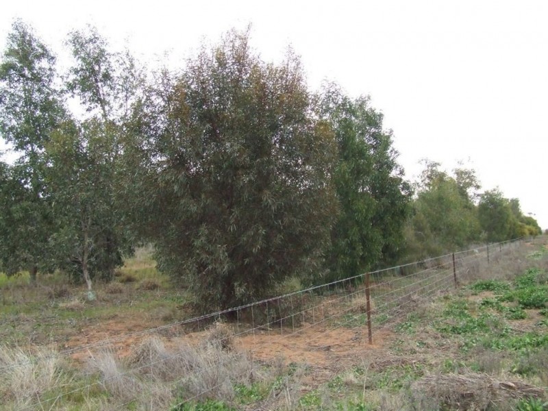 0 “Oakleigh”, Grong Grong NSW 2652