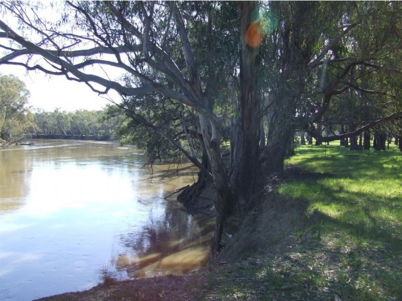 . “Carraman”, Narrandera NSW 2700