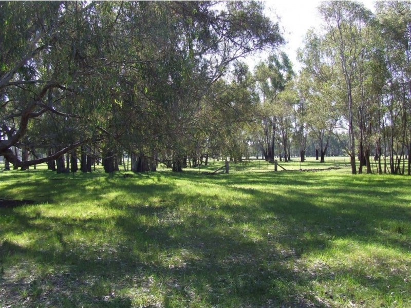 . “Carraman”, Narrandera NSW 2700