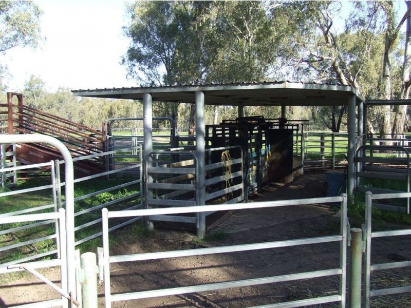 . “Carraman”, Narrandera NSW 2700