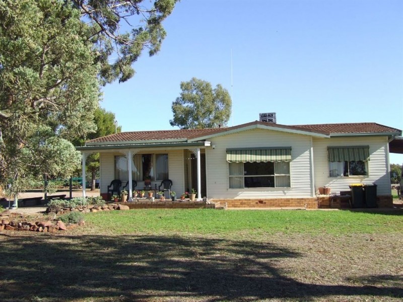 339 Pine Hill Road, Narrandera NSW 2700