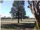 339 Pine Hill Road, Narrandera NSW 2700
