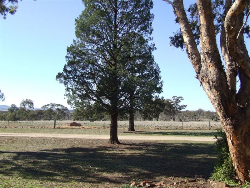 339 Pine Hill Road, Narrandera NSW 2700