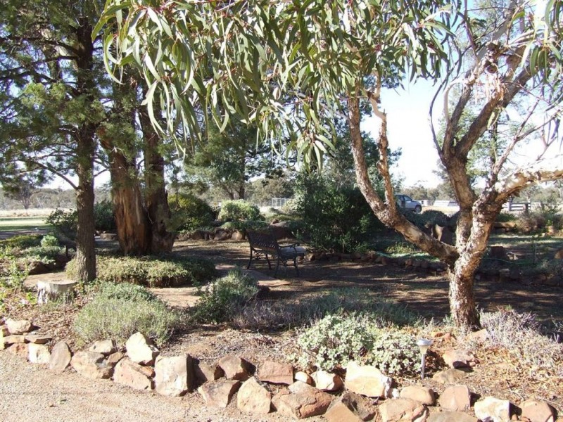 339 Pine Hill Road, Narrandera NSW 2700