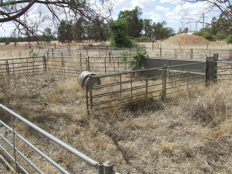 4761 Canola Way, Ganmain NSW 2702