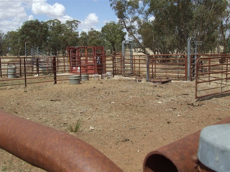 4761 Canola Way, Ganmain NSW 2702