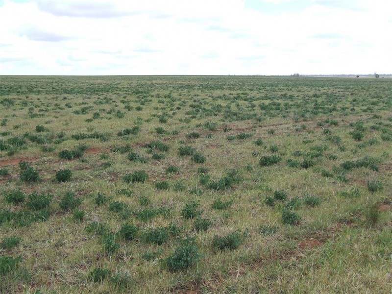 “Chelsea” Back Morundah Road, Narrandera NSW 2700