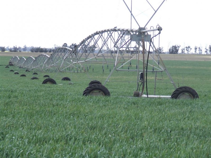 “Chelsea” Back Morundah Road, Narrandera NSW 2700