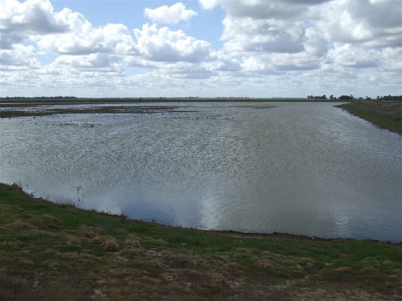 “Chelsea” Back Morundah Road, Narrandera NSW 2700