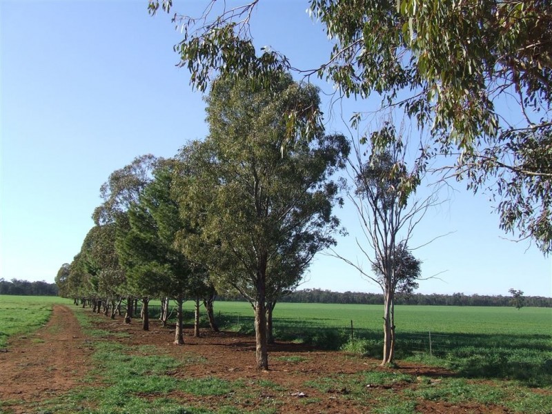 “AFTON” 323 Donaldson’s Road, Narrandera NSW 2700