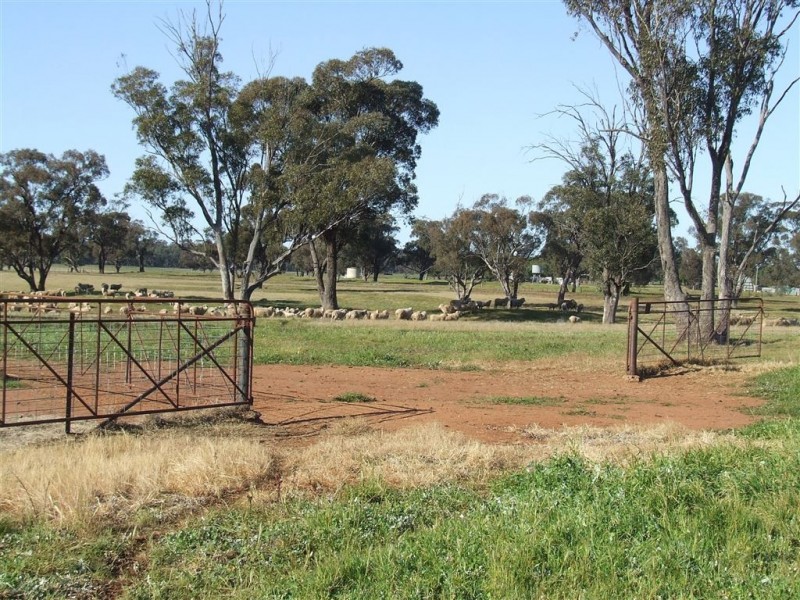 “AFTON” 323 Donaldson’s Road, Narrandera NSW 2700