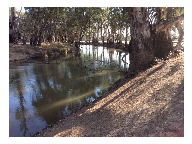 - Parkwood and Brimbla, Narrandera NSW 2700