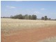 71 Williams Road, Grong Grong NSW 2652