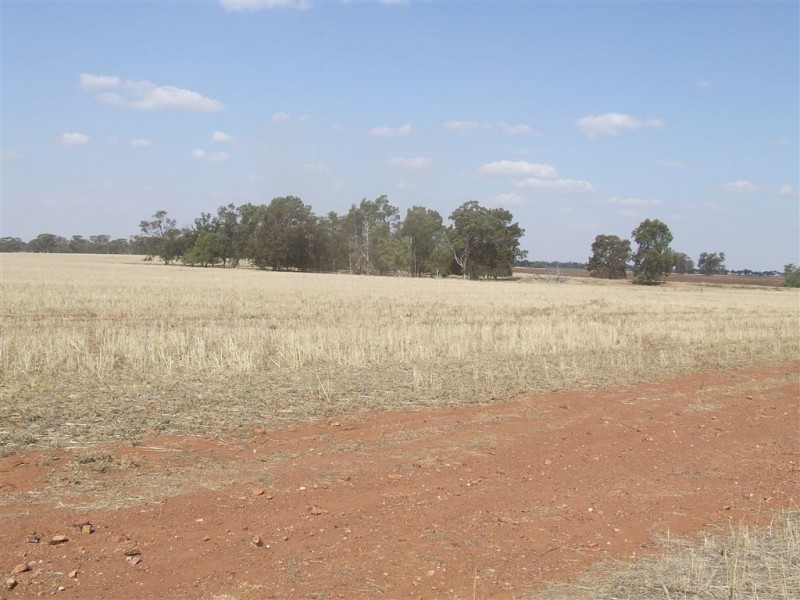 71 Williams Road, Grong Grong NSW 2652