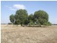 71 Williams Road, Grong Grong NSW 2652
