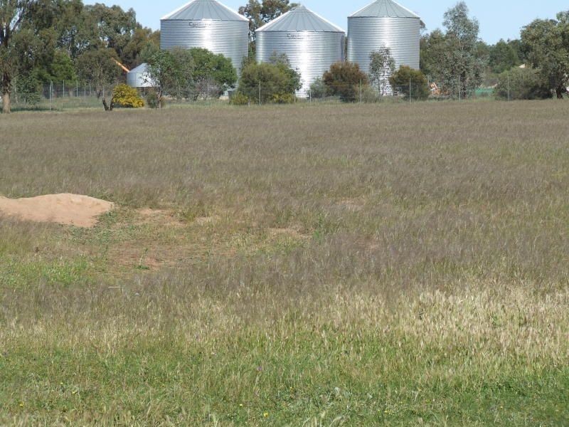 2 Driscoll Road, Narrandera NSW 2700