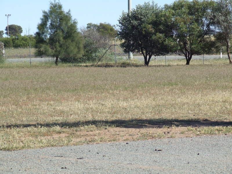 2 Driscoll Road, Narrandera NSW 2700