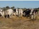 1334 Koroop Rd, Kerang VIC 3579