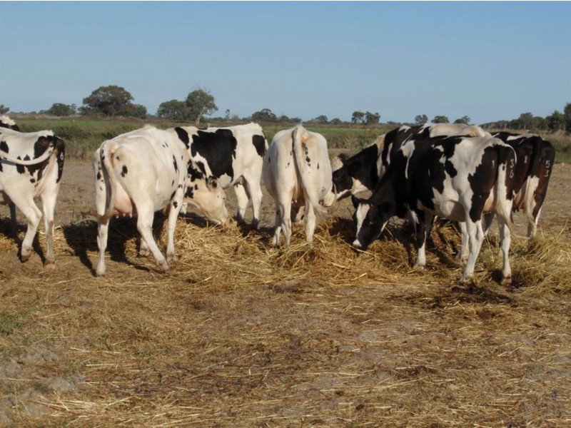 1334 Koroop Rd, Kerang VIC 3579