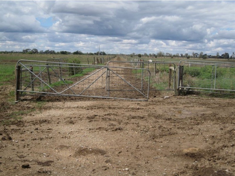 54 Harrisons Rd, Cohuna VIC 3568