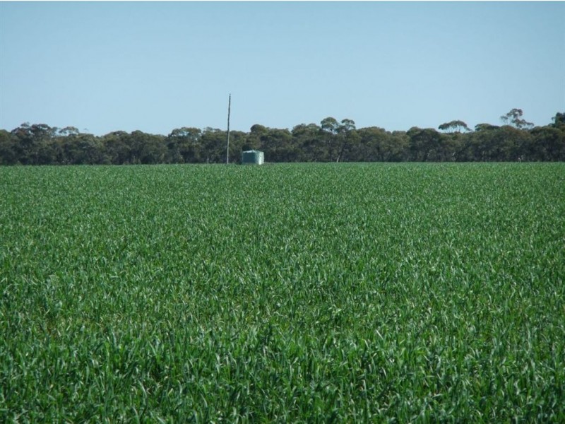 2791 Boort Rd, Lake Meran VIC 3579