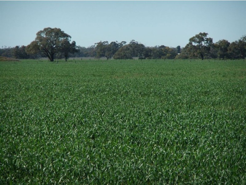 2791 Boort Rd, Lake Meran VIC 3579