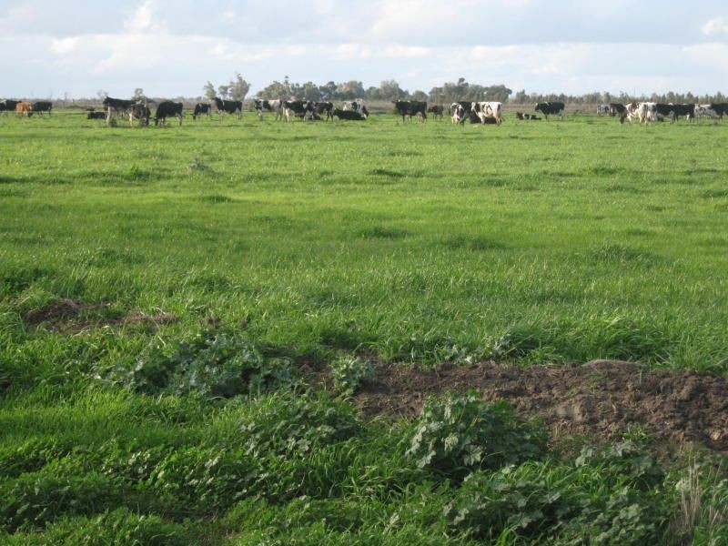 1320 Appin South Rd, Appin South VIC 3579