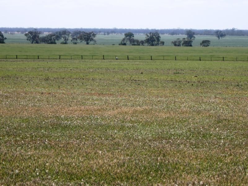 0 x, Barraport VIC 3537