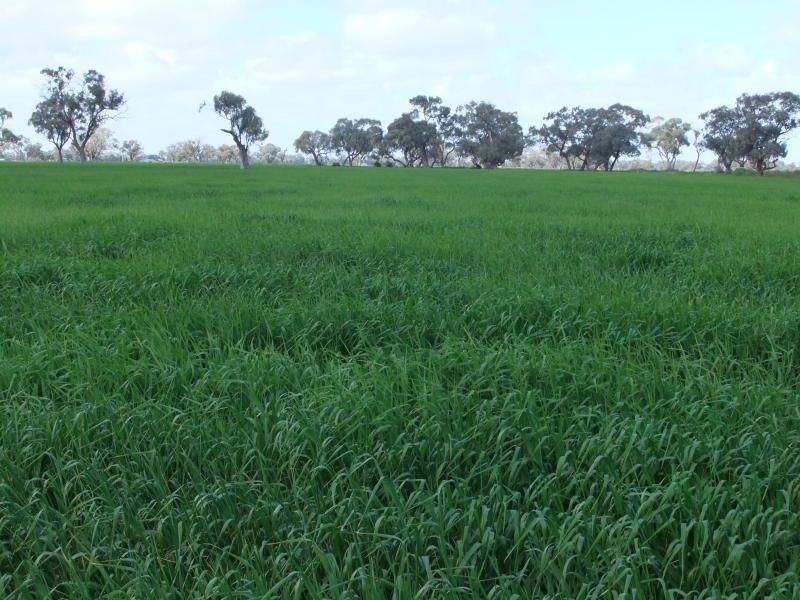 0 x, Kerang VIC 3579