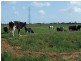 0 x, Kerang VIC 3579
