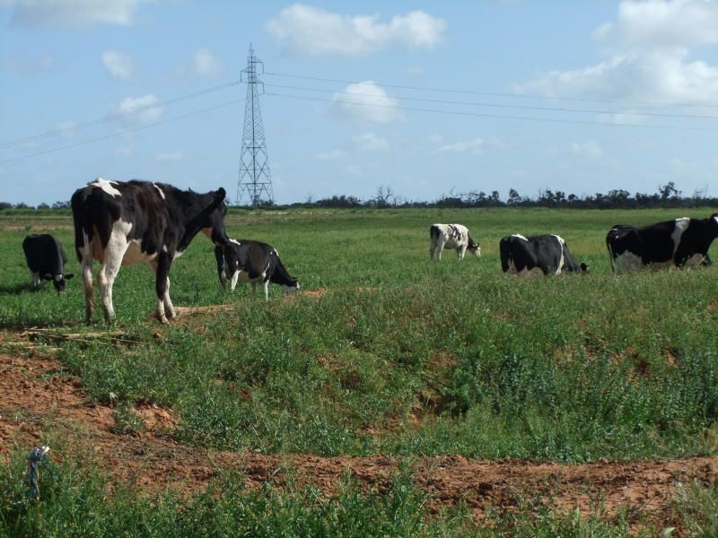 0 x, Kerang VIC 3579