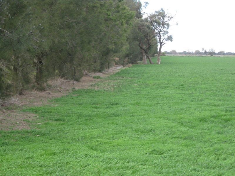 0 x, Kerang VIC 3579