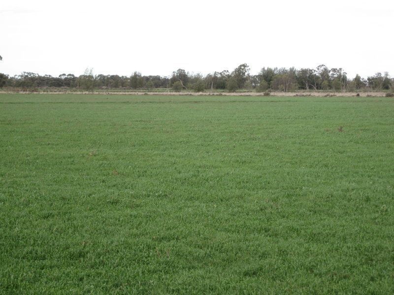 0 x, Kerang VIC 3579