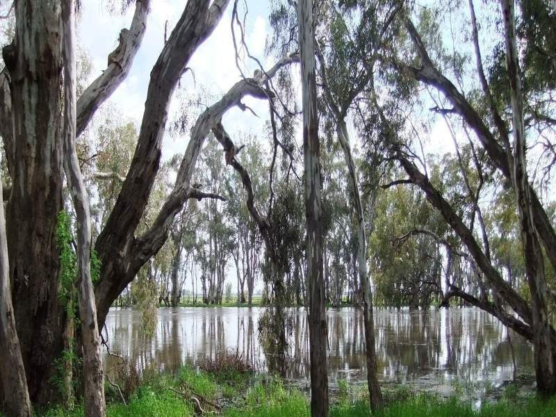 . ., Kerang VIC 3579