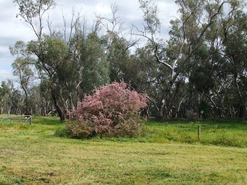 . ., Kerang VIC 3579