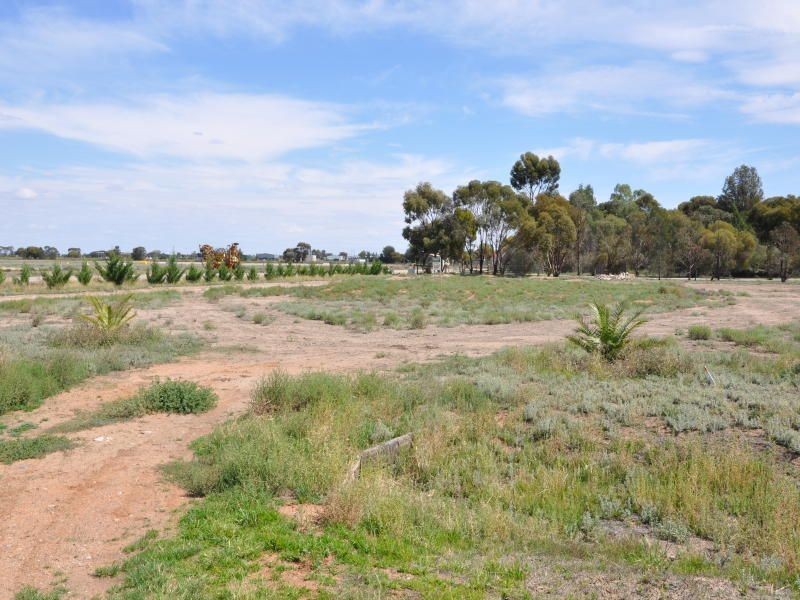 0 Borough Drive, Kerang VIC 3579