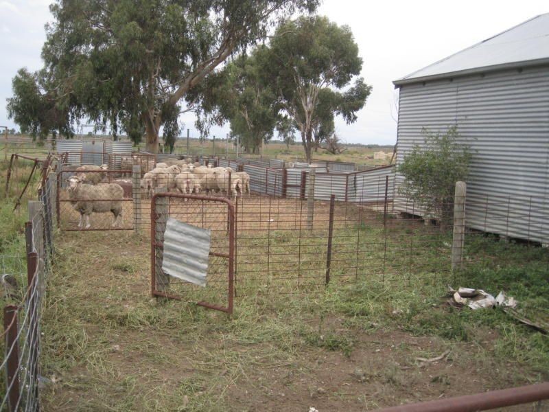 0 x, Kerang VIC 3579