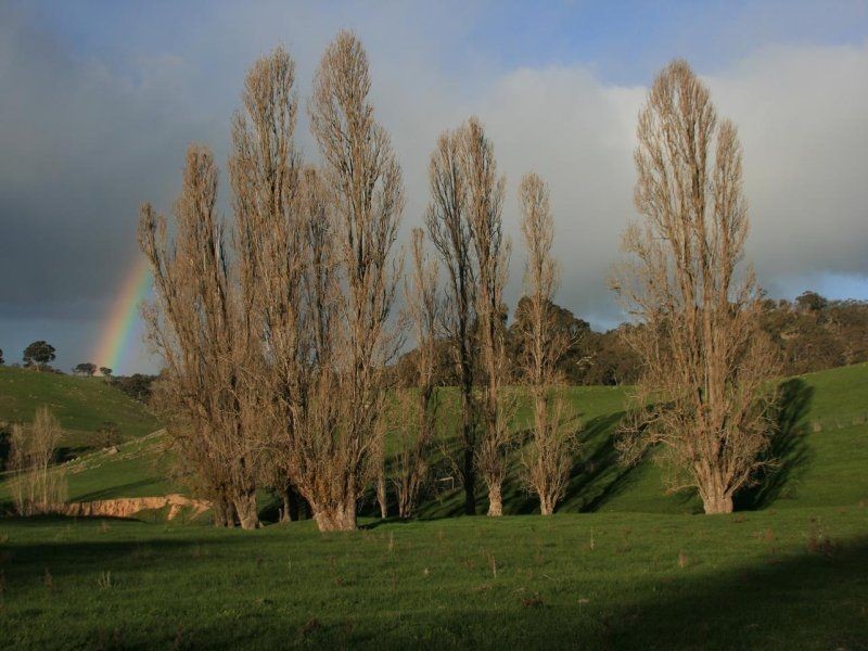 . The Junctions, Kyneton VIC 3444