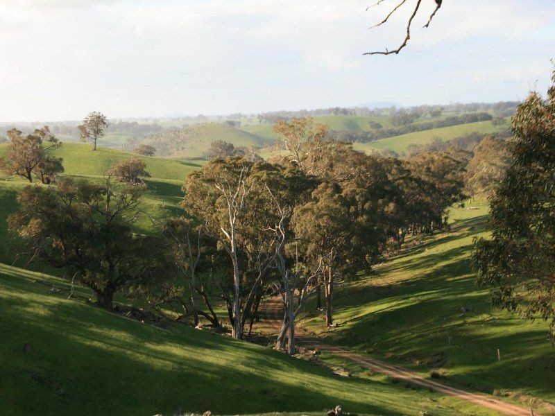 . The Junctions, Kyneton VIC 3444