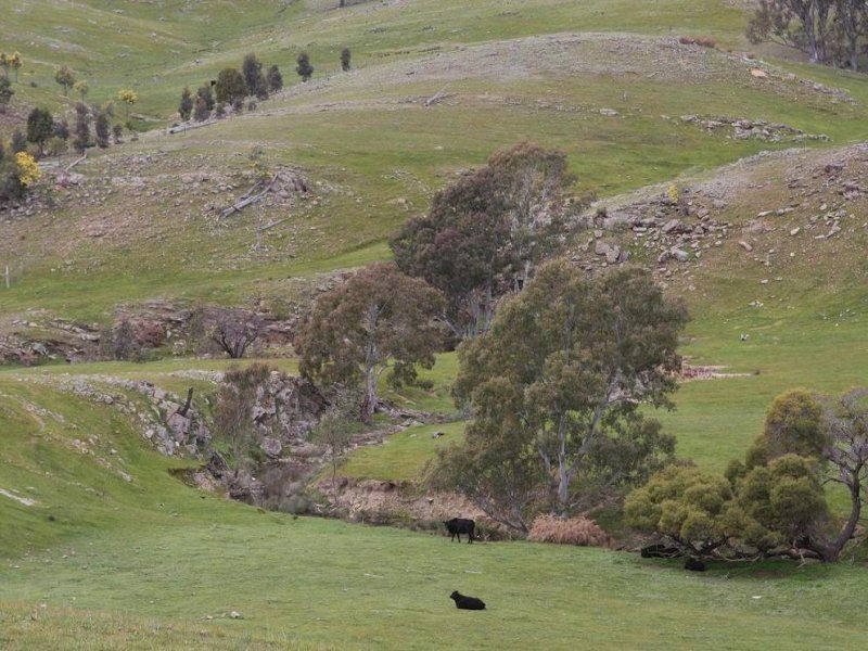 . The Junctions, Kyneton VIC 3444