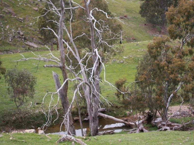 . The Junctions, Kyneton VIC 3444