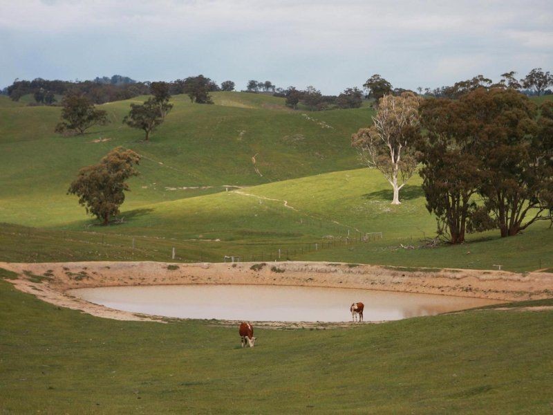 . The Junctions, Kyneton VIC 3444