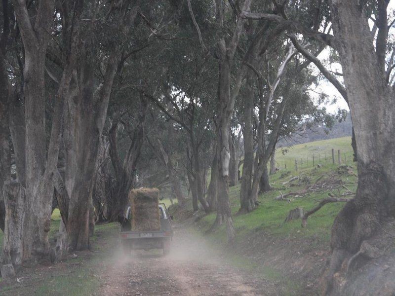 . The Junctions, Kyneton VIC 3444