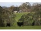 465 Watch Box Road, Barfold VIC 3444